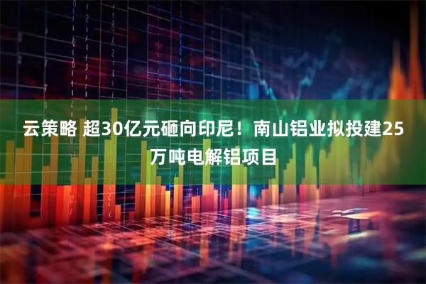 云策略 超30亿元砸向印尼！南山铝业拟投建25万吨电解铝项目